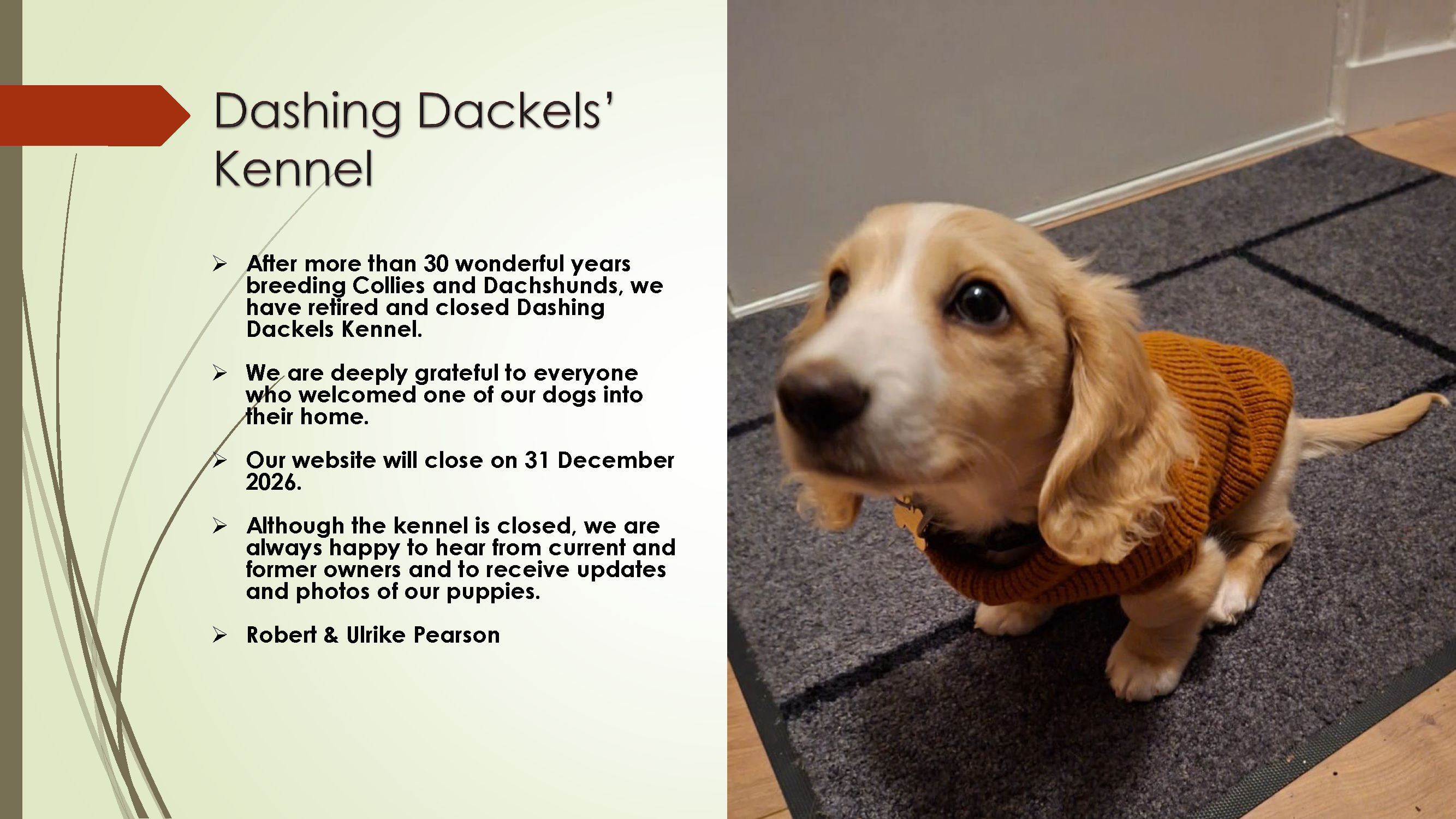 Dashing Dackels' Kennel. After more than 30 wonderful years breeding Collies and Dachshunds, we have retired and closed Dashing Dackels Kennel. We are deeply grateful to everyone who welcomed one of our dogs into their home. Our website will close on 31 December 2026. Although the kennel is closed, we are always happy to hear from current and former owners and to receive updates and photos of our puppies. Robert & Ulrike Pearson.